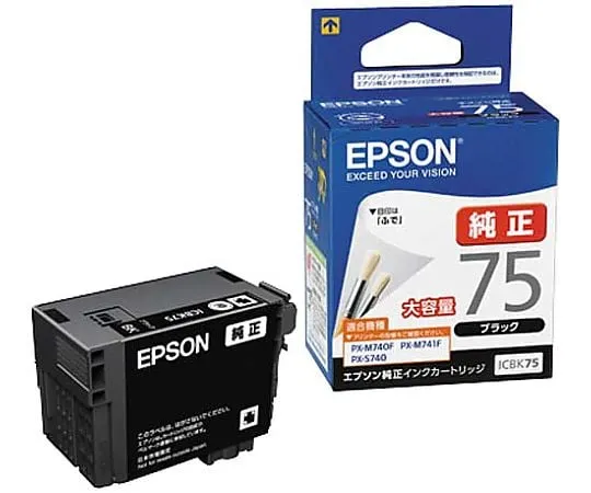 61-0513-90 Epson Genuine Ink Cartridge ICBK75