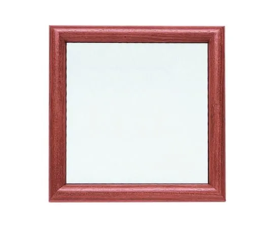 61-9253-16　［Discontinued］Room Name Tag Sign/Floor Indicator (Flat Type) Width 200 x Height 200mm Plain　SK-500WF-BR