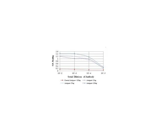 62-8523-71 Anti-PRKAA1, clone 2B7 Antibody MABS818