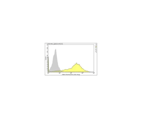 62-8513-21 Anti-ICOS/CD278 Antibody, clone C398.4A MABF977
