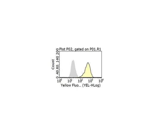 62-8524-45 Anti-EPCR Antibody, clone JRK1535 MABS1271