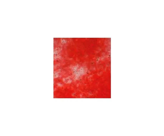 62-8532-60 Mesenchymal Stem Cell Osteogenesis Kit; 1 kit SCR028