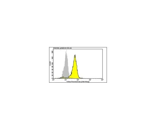 62-8483-84 Milli-Mark Phospho-Erk1/2 (Thr202/Tyr204, Thr185/Tyr187) -PE; 100 tests FCMAB100P