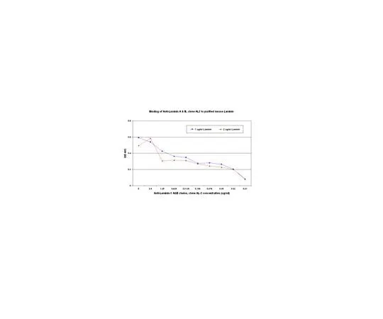 62-8492-04 Anti-Laminin-1 AandB chains, cross region, clone AL-2; 100 μg MAB1904