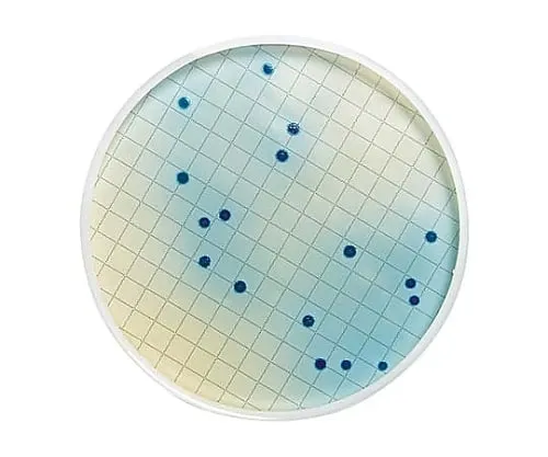 61-0194-38 M-Fc Liquid Medium Ampule 2mL Fecal Coliform Group 50 x 1ST MHA000P2F