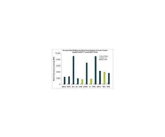 62-8538-55 MILLIPLEX MAP Akt/mTOR Phosphoprotein Magnetic Bead 11-Plex Kit; 1 kit 48-611MAG