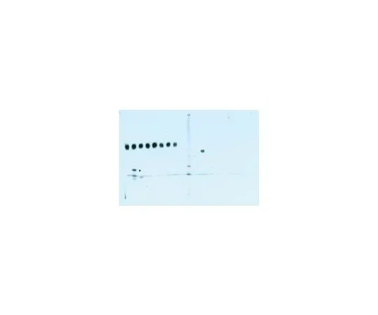 62-8534-64 Blot Restore Membrane Rejuvination Kit, 10x; 1 kit 2520