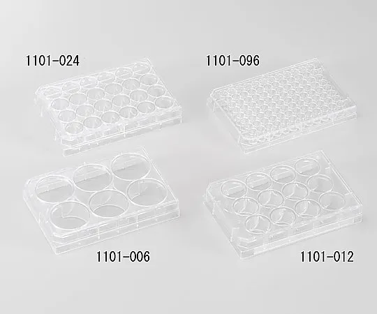 2-5102-01　［Discontinued］Cell Culture Plate 6 Wells　1101-006