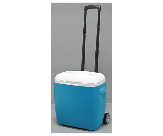 63-0989-36　［Discontinued］Gracied Carry Cooler Box　18L