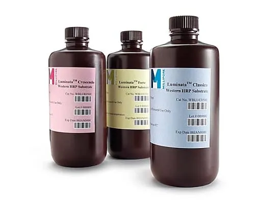 61-0194-30 Luminata Classico Western HRP Substrate, 100mL 100mL WBLUC0100
