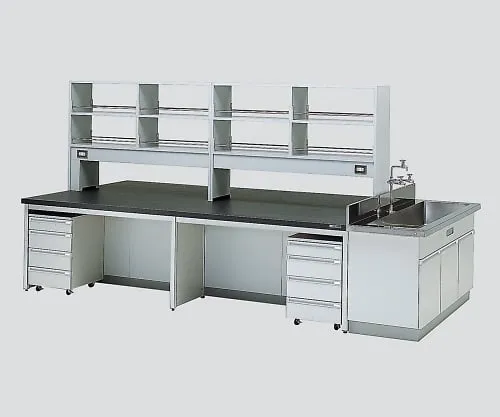 3-3796-02　［Discontinued］Central Laboratory Bench without Drawer, Frame Type with Unit, Side Sink, with Reagent Shelf 2400 x 1200 x 800/1800　HCOH-2412