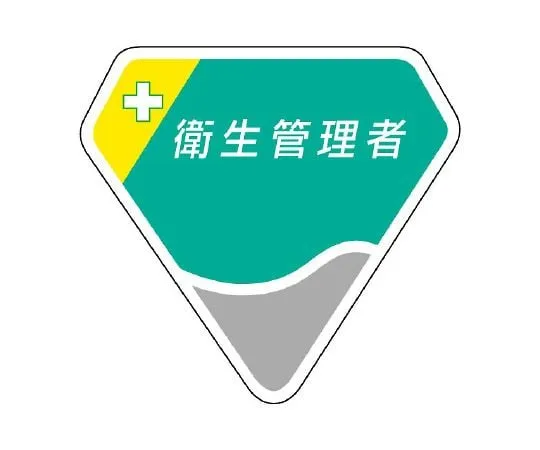 62-6109-88 Head of Safety and Health 849-04