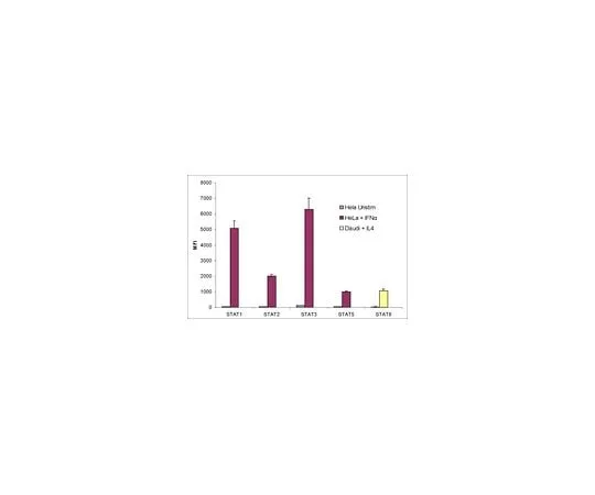 62-8538-54 MILLIPLEX(R) MAP STAT Cell Signaling Magnetic Bead 5-Plex Kit, 48-610MAG 48-610MAG