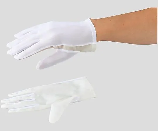 2-8593-01　［Discontinued］ASPURE Dust-Free Gloves PVC Laminate Type S 12 Pairs　BNH-V