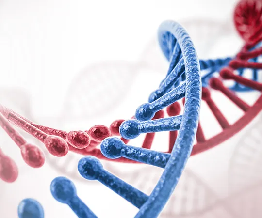 89-8694-86　［Discontinued］"Enterokinase, from calf intestine" 11334115001　ENTK-RO