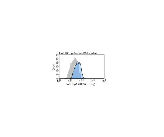 62-8509-57 Anti-RIG1, clone 42 MABF284