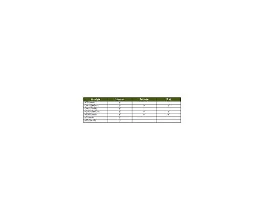 62-8538-60 7-Plex DNA Damage/Genotoxicity MAG Panel 48-621MAG
