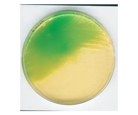 61-0200-44 Modified Lecithin Agar Base Medium for Microbiology 110404 500G 1.10404.0500