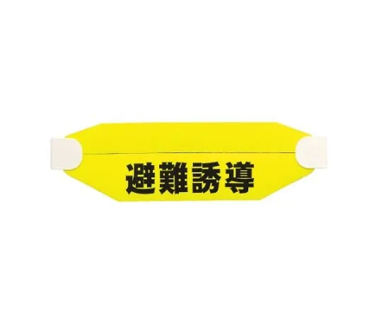 62-6092-21 Helmet Sign (Combined Type) Evacuation Guidance 377-541