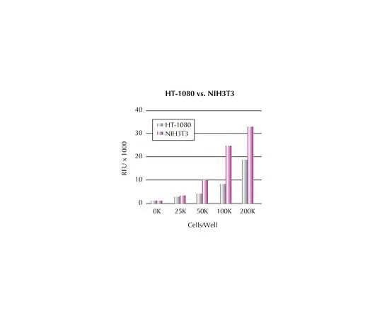 62-8481-86 QCM Chemotaxis (8 μm) 24-well Cell Migration Assay, Fluorimetric; 1 plate ECM509