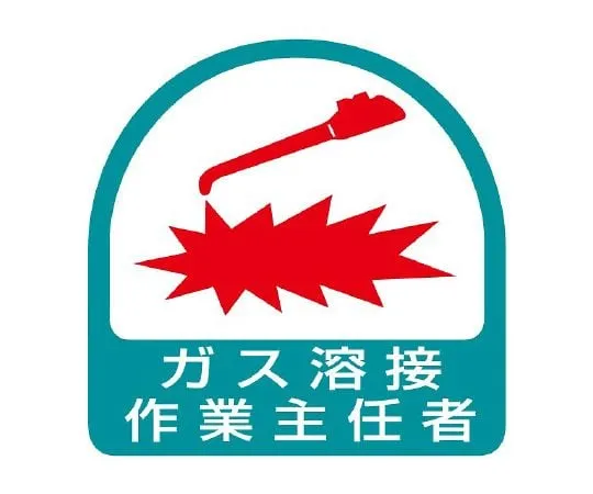 62-6145-46 Operations Chief of Helmet Sticker Gas Welding 851-23