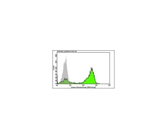 62-8483-88 Anti-phospho H3 (Ser10), clone 3H10 Alexa Fluor(R) 488 conjugate; 100 tests FCMAB104A4