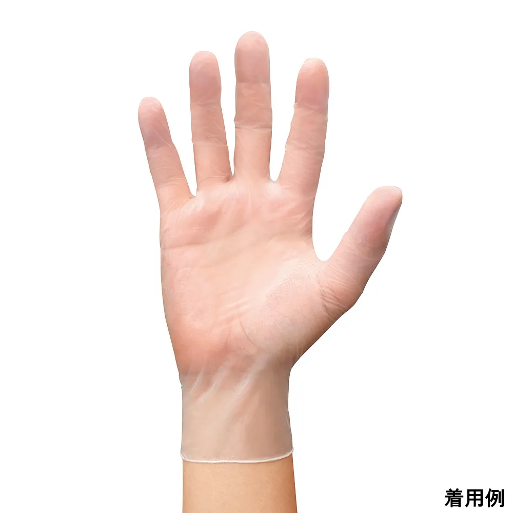 66-0011-31 Vinyl Gloves XS 100 Pieces 809-XS