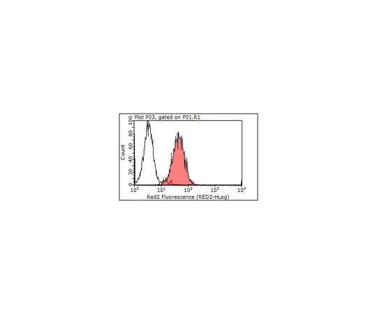 62-8480-15 Anti-mo*** Integrin alphaV, clone RMV-7 (Preservative free) CBL1346Z-I