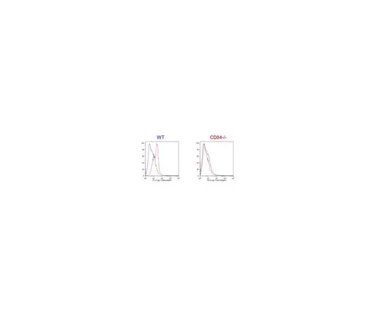 62-8513-01 Anti-CD84/Slamf5 Antibody, clone 1D3 MABF929