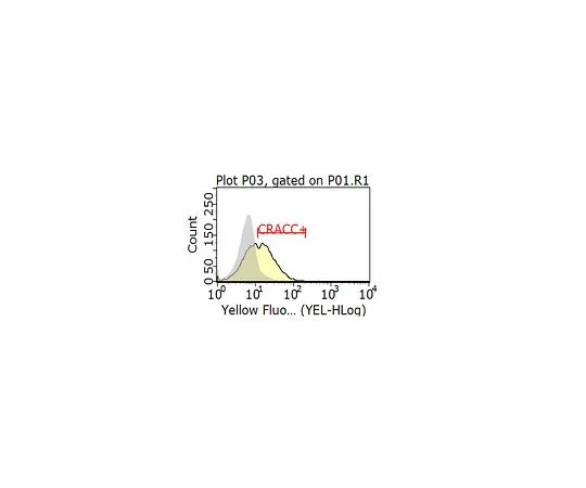 62-8512-94 Anti-CRACC Antibody, clone 4G2 MABF917