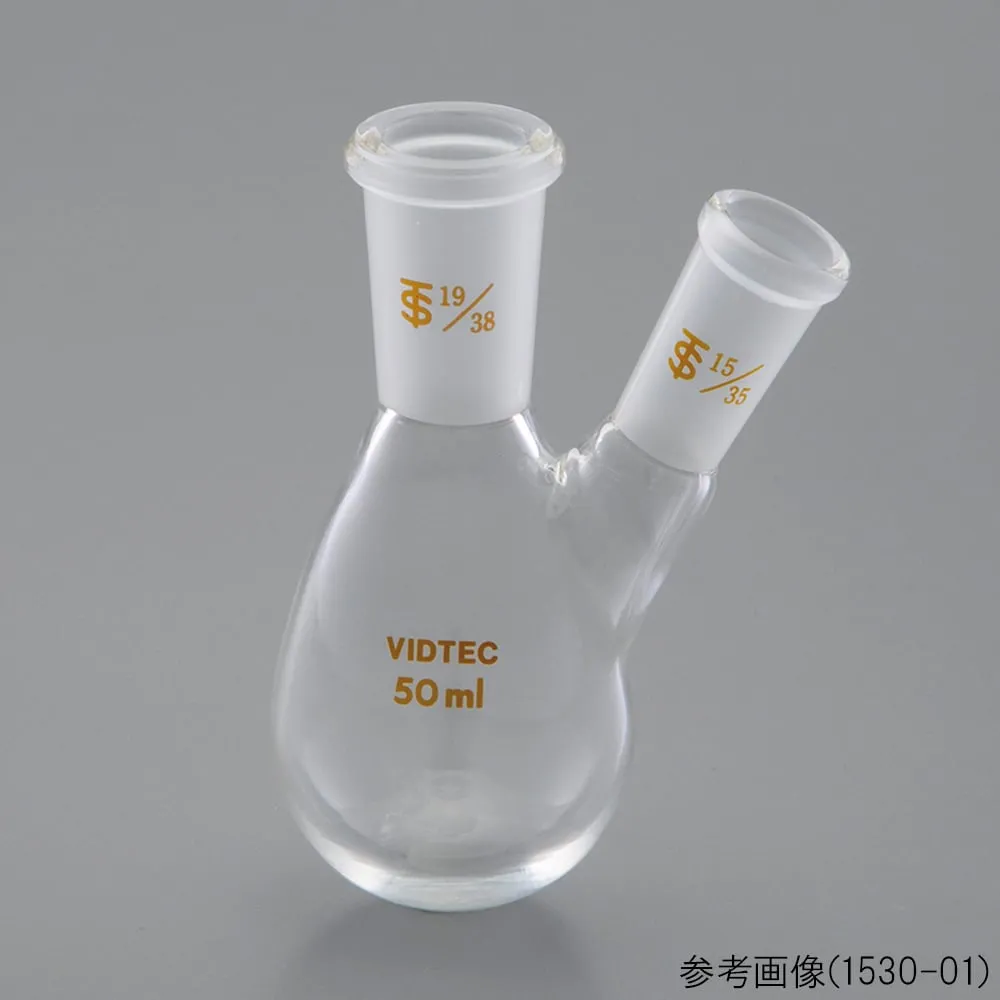 65-6814-20 Eggplant Type 2-neck Flask 50 mL 19/38 15/35 1530-01