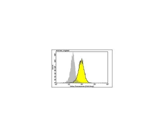 62-8483-91 Anti-phospho-ATM (Ser1981), clone 10H11.E12 PE conjugate; 100 tests FCMAB110P