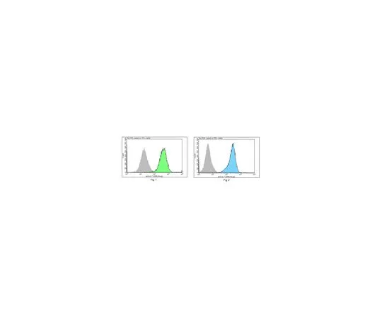 62-8509-68 Anti-Interleukin-7/IL-7 Antibody, clone 7B1.1 MABF301 MABF301