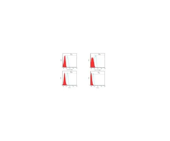 62-8521-23 Anti-CD166 (ALCAM) Antibody, clone TAG-1A3 MABN1785