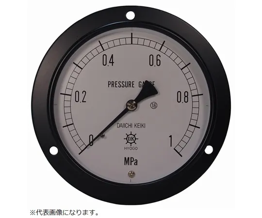 67-4848-12 IPT General Pressure Gauge DU3/8-100:1MPA 0354-02-0040730