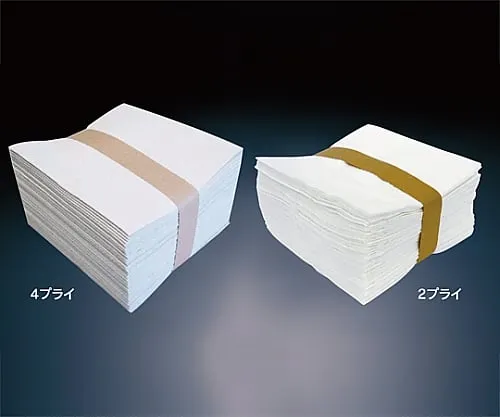 61-0085-76 Noah 2PLY White 50 Pieces x 24 Bundles 103472
