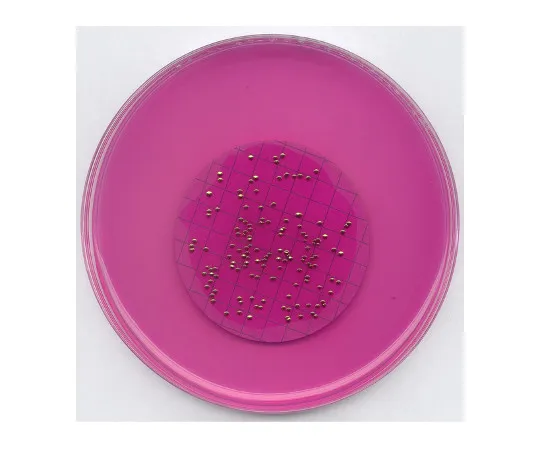 61-0201-86 Membrane Filter: Endo Agar Medium LES for Microbiology 111277 500G 1.11277.0500