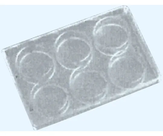65-8686-82 Glass Microplate 6-Hole Borosilicate Glass (JR-1) B-3