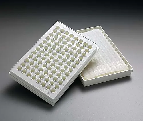 61-0211-22 Multiscreen HTS DV 0.65μm Opaque Non-Sterile 50/Pk 50PK MSDVN6B50