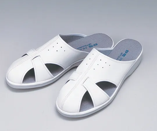 64-8903-64 Electrostatic Slippers P-02N White LL 602080LL