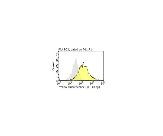 62-8512-99 Anti-CD99 Antibody, clone 0662 MABF927