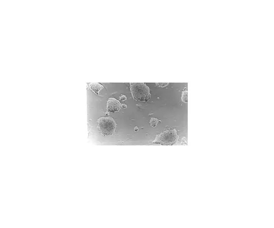 62-8482-68 ESGRO(R) (LIF); 106 units ESG1106