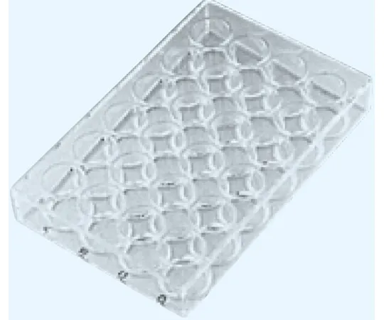 65-8686-80 Glass Microplate 24 Hole Borosilicate Glass (JR-1) B-2