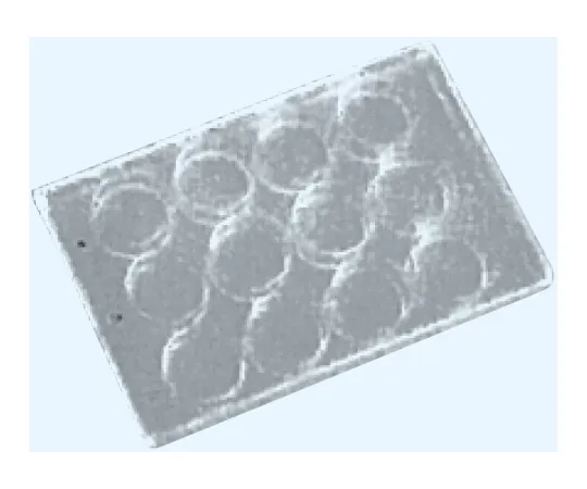 65-8686-81 Glass Microplate 12 Hole Borosilicate Glass (JR-1) B-4