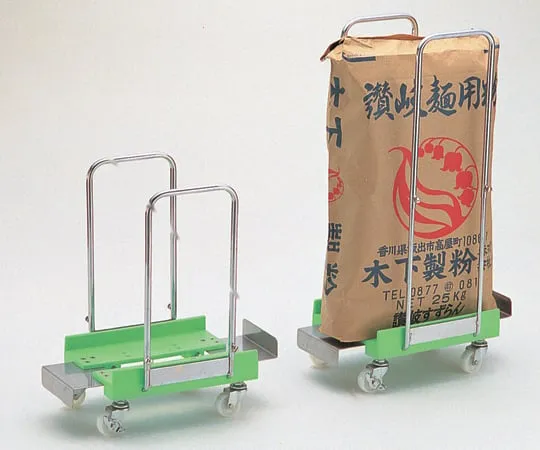 2-7395-01　［Discontinued］Bag Carry　1