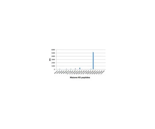 62-8507-08 Anti-dimethyl Histone H3 (Lys36) Antibody, clone RM141 MABE639