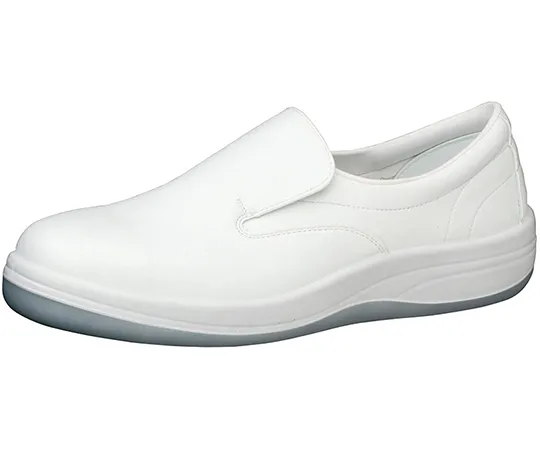 64-8053-41 JIS Standard, Women's Antistatic Safety Shoes, White 22.0 cm LSCR1200-22.0 LSCR1200-22.0