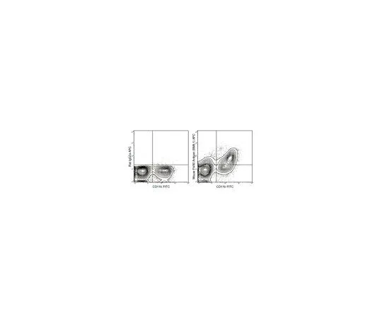 62-8514-43 Anti-F4/80 (mouse), APC, clone BM8.1 Antibody MABF1524