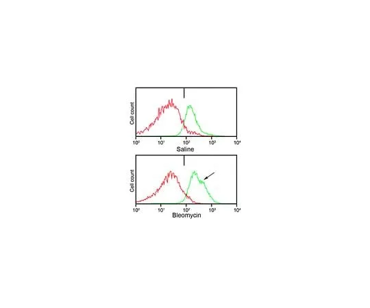 62-8473-28 Anti-Telo-Collagen Type I, A1/COL1A1 ABT256