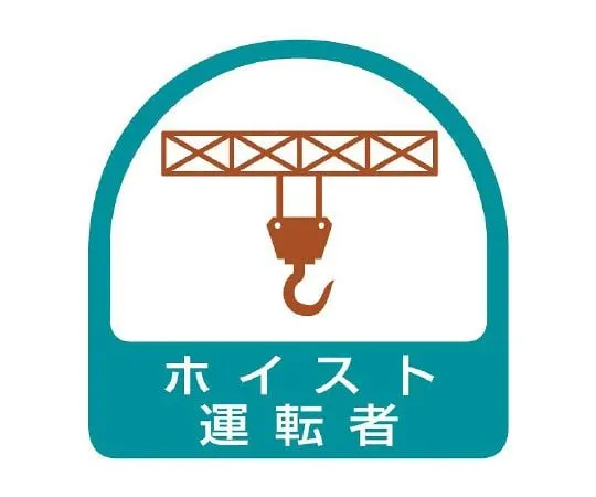 62-6110-25 Helmet Sticker Hoist Driver 1 Sheet (2 Sheets) 851-65